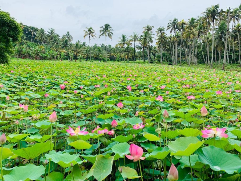 Maadathil Cottages & Beach Resort バルカラ エクステリア 写真