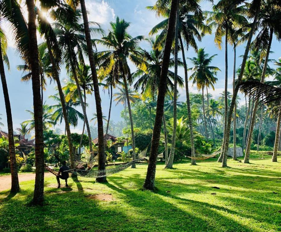 Maadathil Cottages & Beach Resort バルカラ エクステリア 写真